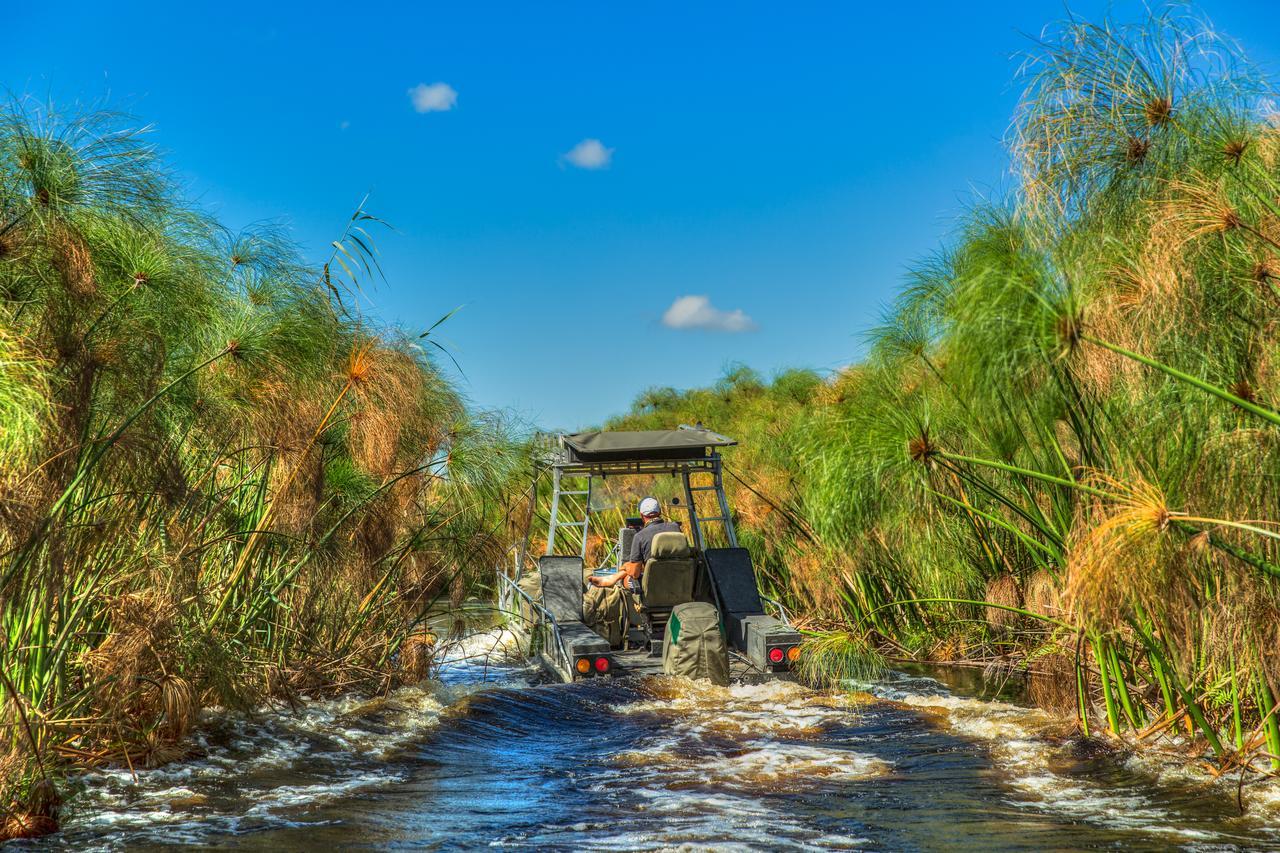 Thamalakane River Lodge Maun Ngoại thất bức ảnh