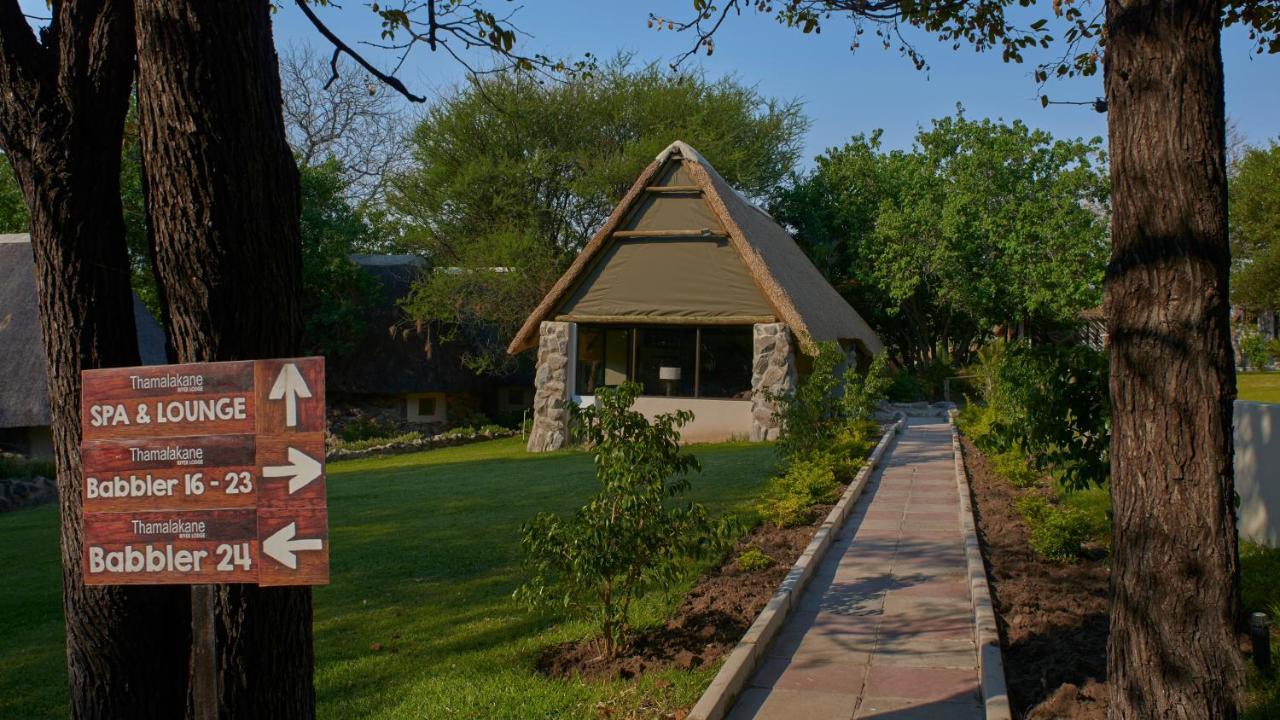 Thamalakane River Lodge Maun Ngoại thất bức ảnh